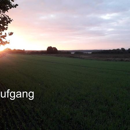 Ferien Mecklenburgische Seenplatte, Urlaub Auf Dem Gutshof Bossow Екстер'єр фото