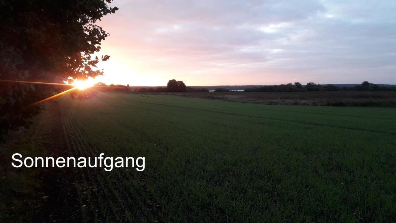 Ferien Mecklenburgische Seenplatte, Urlaub Auf Dem Gutshof Bossow Екстер'єр фото